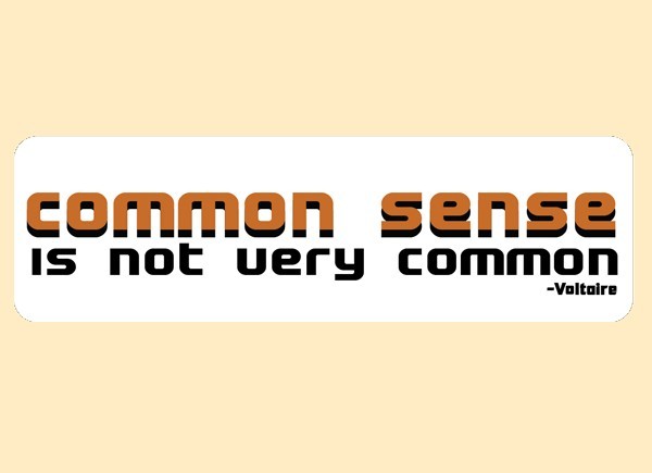 PC368 Starshine Arts "Common Sense" Bumper Sticker