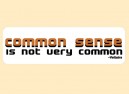 JR441 Starshine Arts"Common Sense" Mini Bumper Sticker