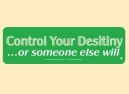 JR447 Starshine Arts"Control Your Destiny" Mini Bumper Sticker