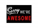 PC448 Starshine Arts "Sorry We're Awesome" Bumper Sticker