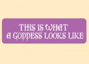 JR465 Starshine Arts"What A Goddess Looks Like" Mini Bumper Sticker