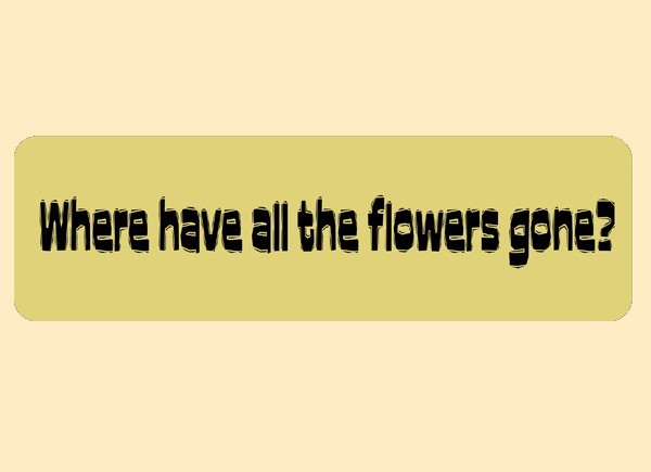 JR499 Starshine Arts"Flowers Gone" Mini Bumper Sticker