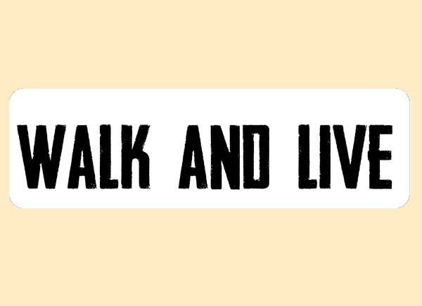 JR508 Starshine Arts"Walk and Live" Mini Bumper Sticker