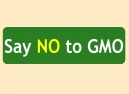 JR520 Starshine Arts"Say No To GMO" Mini Bumper Sticker