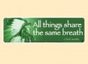 JR554 Starshine Arts "All Things Share Breath" Mini Bumper Sticker