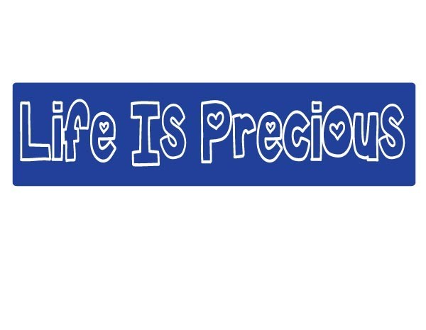 JR589 Starshine Arts "Life Is Precious" Mini Bumper Sticker