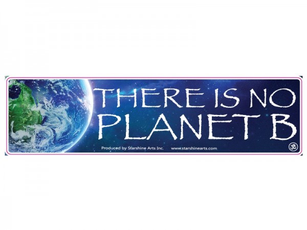 PC486 Starshine Arts "No Planet B" Bumper Sticker