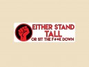 JR627  Starshine Arts "Stand Tall"  Mini Bumper Sticker