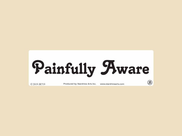 JR719 Starshine Arts "Painfully Aware" Mini Bumper Laptop Sticker