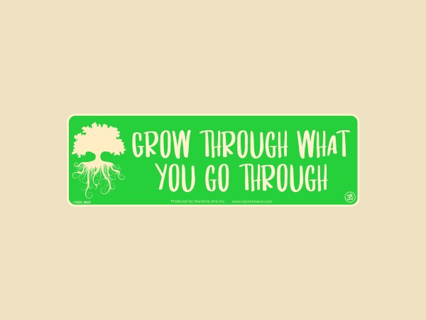 JR841 Starshine Arts "Grow Through What You Go Through" Mini Bumper Laptop Sticker