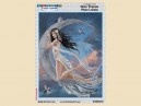 STAR469 4.5" Frost Moon Fairy" Sticker