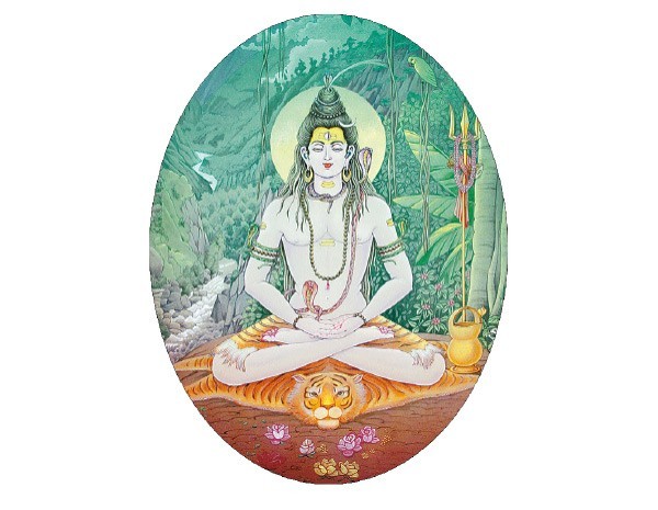 SKY381 Pieter Weltevrede "Ganesha" Sticker
