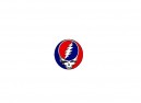 SKY572 Grateful Dead "3 Inch Steal Your Face" Sticker