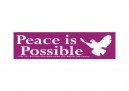 JR73 Peace Resource Project "Practice Random Kindness" Mini Bumper Sticker